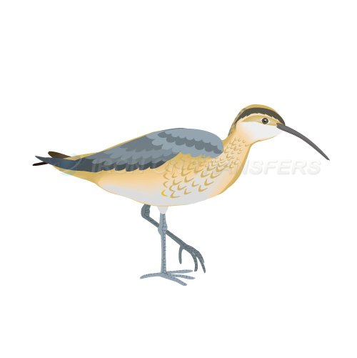 Birds Iron-on Stickers (Heat Transfers)NO.2184